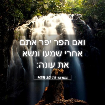 Picture 05 - במדבר 30:15 HEB - ואם הפר יפר אתם אחרי שמעו - Bible Verse Picture