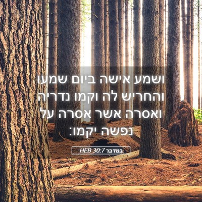 Picture 05 - במדבר 30:7 HEB - ושמע אישה ביום שמעו והחריש - Bible Verse Picture