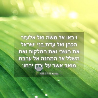 Picture 05 - במדבר 31:12 HEB - ויבאו אל משה ואל אלעזר הכהן - Bible Verse Picture