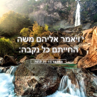 Picture 05 - במדבר 31:15 HEB - ויאמר אליהם משה החייתם כל - Bible Verse Picture