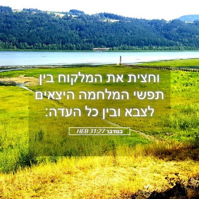 Picture 05 - במדבר 31:27 HEB - וחצית את המלקוח בין תפשי - Bible Verse Picture