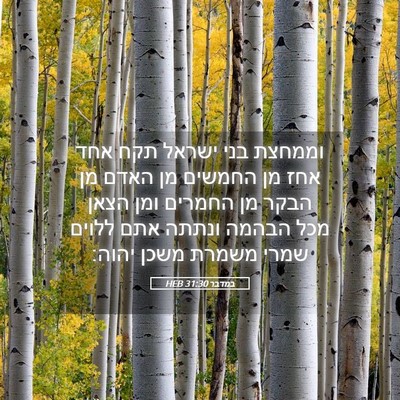Picture 05 - במדבר 31:30 HEB - וממחצת בני ישראל תקח אחד - Bible Verse Picture