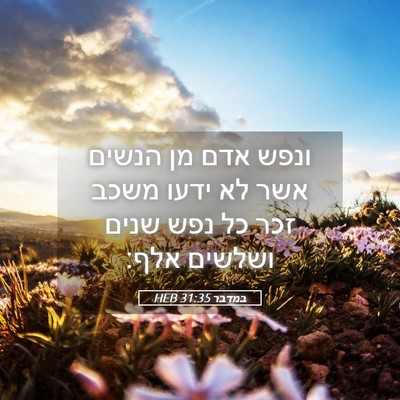 Picture 05 - במדבר 31:35 HEB - ונפש אדם מן הנשים אשר לא - Bible Verse Picture