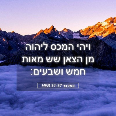 Picture 05 - במדבר 31:37 HEB - ויהי המכס ליהוה מן הצאן שש - Bible Verse Picture