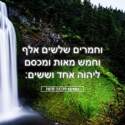 Picture 05 - במדבר 31:39 HEB - וחמרים שלשים אלף וחמש מאות - Bible Verse Picture