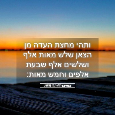 Picture 05 - במדבר 31:43 HEB - ותהי מחצת העדה מן הצאן שלש - Bible Verse Picture