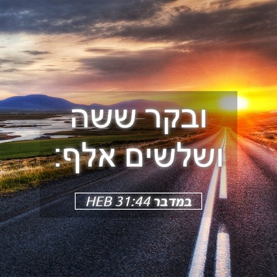 Picture 05 - במדבר 31:44 HEB - ובקר ששה ושלשים - Bible Verse Picture