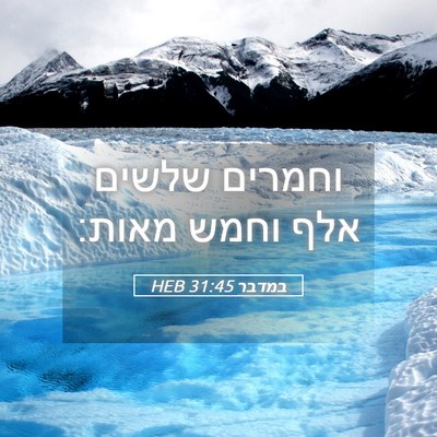 Picture 05 - במדבר 31:45 HEB - וחמרים שלשים אלף וחמש - Bible Verse Picture