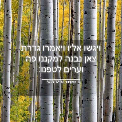Picture 05 - במדבר 32:16 HEB - ויגשו אליו ויאמרו גדרת צאן - Bible Verse Picture