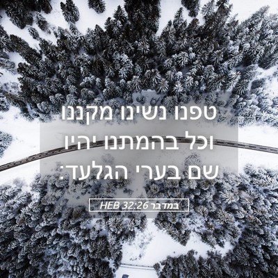 Picture 05 - במדבר 32:26 HEB - טפנו נשינו מקננו וכל - Bible Verse Picture