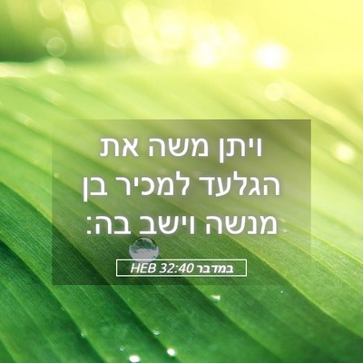 Picture 05 - במדבר 32:40 HEB - ויתן משה את הגלעד למכיר בן - Bible Verse Picture