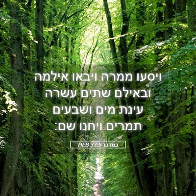 Picture 05 - במדבר 33:9 HEB - ויסעו ממרה ויבאו אילמה - Bible Verse Picture