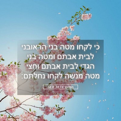 Picture 05 - במדבר 34:14 HEB - כי לקחו מטה בני הראובני - Bible Verse Picture