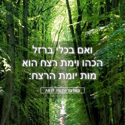 Picture 05 - במדבר 35:16 HEB - ואם בכלי ברזל הכהו וימת רצח - Bible Verse Picture