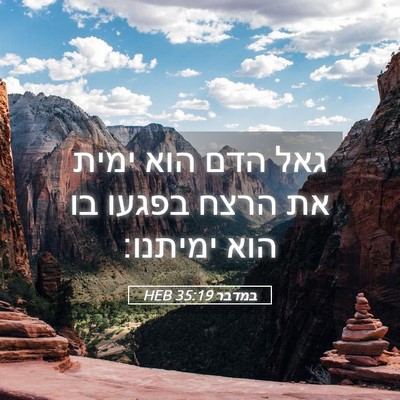 Picture 05 - במדבר 35:19 HEB - גאל הדם הוא ימית את הרצח - Bible Verse Picture