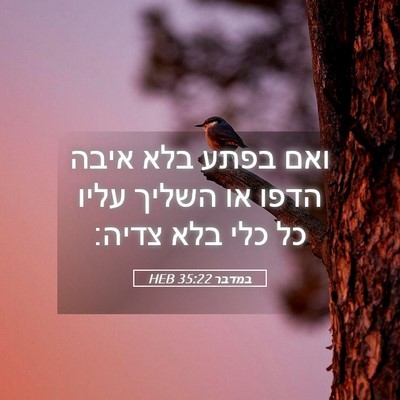 Picture 05 - במדבר 35:22 HEB - ואם בפתע בלא איבה הדפו או - Bible Verse Picture