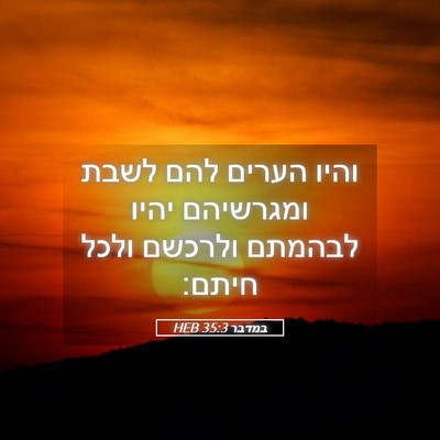 Picture 05 - במדבר 35:3 HEB - והיו הערים להם לשבת - Bible Verse Picture