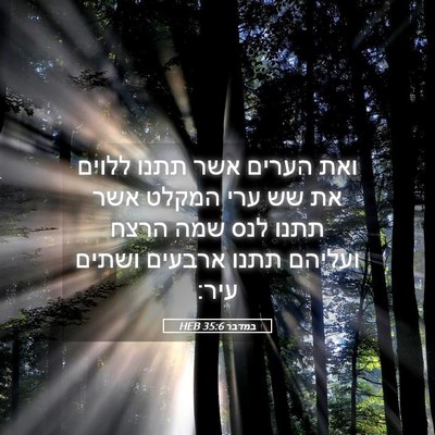 Picture 05 - במדבר 35:6 HEB - ואת הערים אשר תתנו ללוים את - Bible Verse Picture