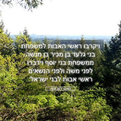 Picture 05 - במדבר 36:1 HEB - ויקרבו ראשי האבות למשפחת - Bible Verse Picture