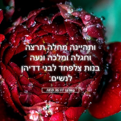 Picture 05 - במדבר 36:11 HEB - ותהיינה מחלה תרצה וחגלה - Bible Verse Picture