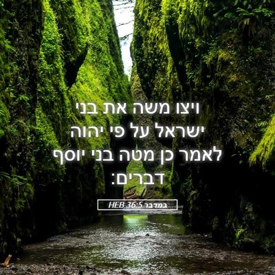 Picture 05 - במדבר 36:5 HEB - ויצו משה את בני ישראל על פי - Bible Verse Picture