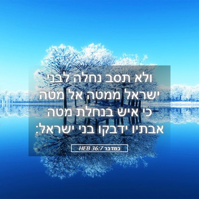 Picture 05 - במדבר 36:7 HEB - ולא תסב נחלה לבני ישראל - Bible Verse Picture