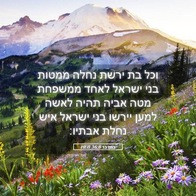 Picture 05 - במדבר 36:8 HEB - וכל בת ירשת נחלה ממטות בני - Bible Verse Picture