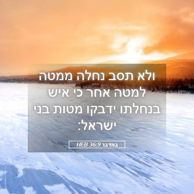 Picture 05 - במדבר 36:9 HEB - ולא תסב נחלה ממטה למטה אחר - Bible Verse Picture