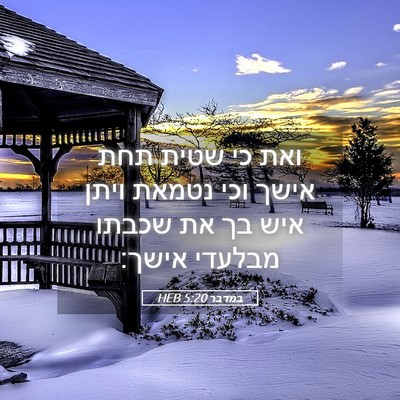 Picture 05 - במדבר 5:20 HEB - ואת כי שטית תחת אישך וכי - Bible Verse Picture