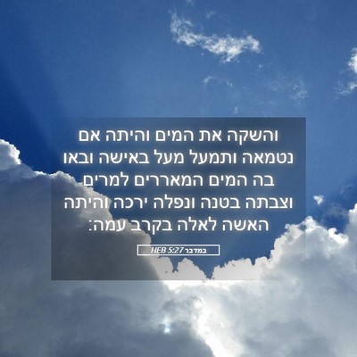 Picture 05 - במדבר 5:27 HEB - והשקה את המים והיתה אם - Bible Verse Picture
