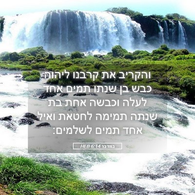 Picture 05 - במדבר 6:14 HEB - והקריב את קרבנו ליהוה כבש - Bible Verse Picture