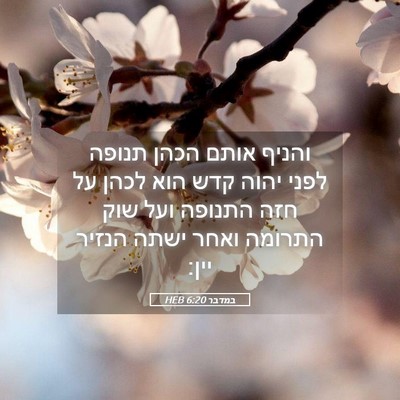 Picture 05 - במדבר 6:20 HEB - והניף אותם הכהן תנופה לפני - Bible Verse Picture