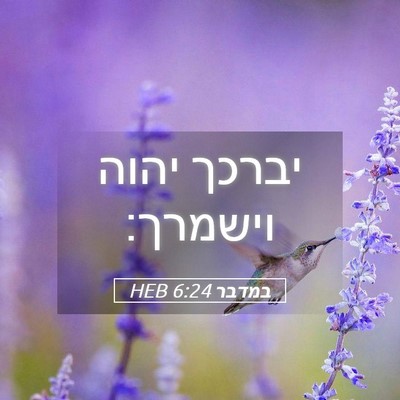 Picture 05 - במדבר 6:24 HEB - יברכך יהוה - Bible Verse Picture