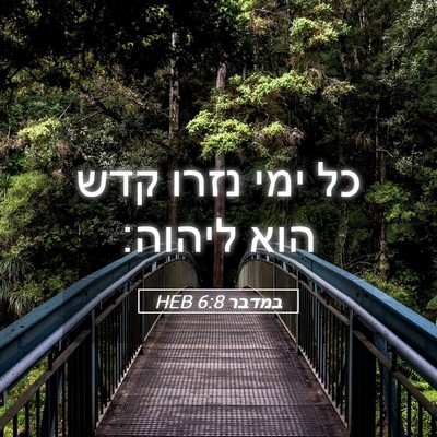 Picture 05 - במדבר 6:8 HEB - כל ימי נזרו קדש הוא - Bible Verse Picture