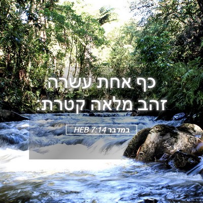 Picture 05 - במדבר 7:14 HEB - כף אחת עשרה זהב מלאה - Bible Verse Picture