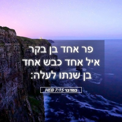Picture 05 - במדבר 7:15 HEB - פר אחד בן בקר איל אחד כבש - Bible Verse Picture