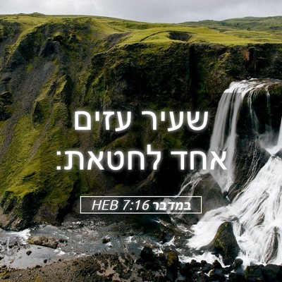 Picture 05 - במדבר 7:16 HEB - שעיר עזים אחד - Bible Verse Picture