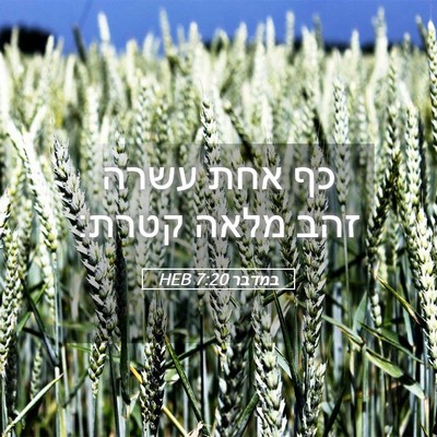 Picture 05 - במדבר 7:20 HEB - כף אחת עשרה זהב מלאה - Bible Verse Picture