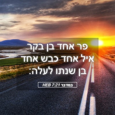 Picture 05 - במדבר 7:21 HEB - פר אחד בן בקר איל אחד כבש - Bible Verse Picture