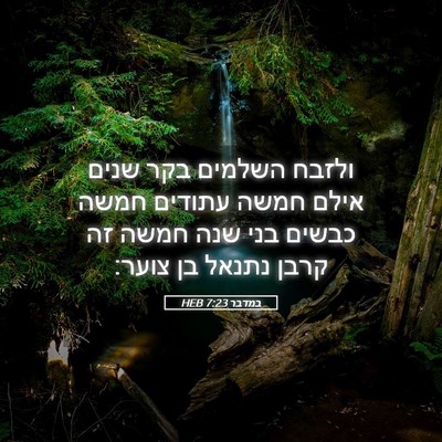 Picture 05 - במדבר 7:23 HEB - ולזבח השלמים בקר שנים אילם - Bible Verse Picture