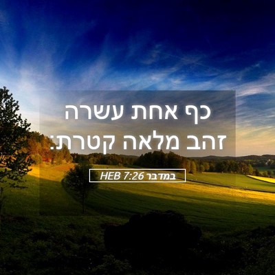 Picture 05 - במדבר 7:26 HEB - כף אחת עשרה זהב מלאה - Bible Verse Picture