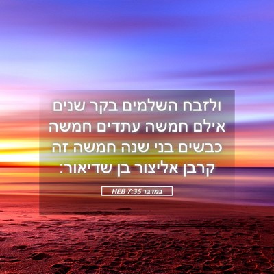 Picture 05 - במדבר 7:35 HEB - ולזבח השלמים בקר שנים אילם - Bible Verse Picture