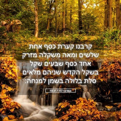 Picture 05 - במדבר 7:43 HEB - קרבנו קערת כסף אחת שלשים - Bible Verse Picture