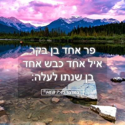 Picture 05 - במדבר 7:45 HEB - פר אחד בן בקר איל אחד כבש - Bible Verse Picture