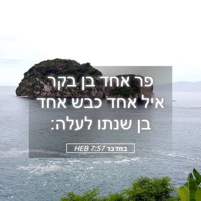Picture 05 - במדבר 7:57 HEB - פר אחד בן בקר איל אחד כבש - Bible Verse Picture