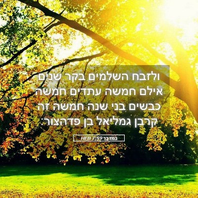 Picture 05 - במדבר 7:59 HEB - ולזבח השלמים בקר שנים אילם - Bible Verse Picture