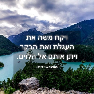 Picture 05 - במדבר 7:6 HEB - ויקח משה את העגלת ואת הבקר - Bible Verse Picture
