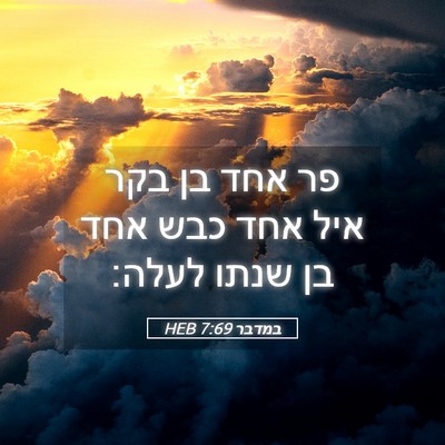 Picture 05 - במדבר 7:69 HEB - פר אחד בן בקר איל אחד כבש - Bible Verse Picture