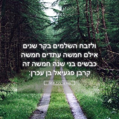 Picture 05 - במדבר 7:77 HEB - ולזבח השלמים בקר שנים אילם - Bible Verse Picture