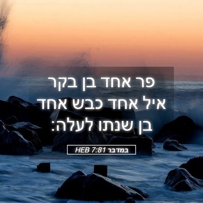Picture 05 - במדבר 7:81 HEB - פר אחד בן בקר איל אחד כבש - Bible Verse Picture